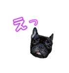 ふれぶるず（個別スタンプ：4）