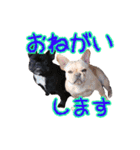 ふれぶるず（個別スタンプ：14）