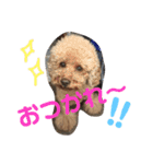 てんファミリー（個別スタンプ：6）
