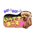 てんファミリー（個別スタンプ：8）