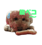 てんファミリー（個別スタンプ：10）