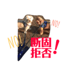 てんファミリー（個別スタンプ：15）