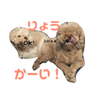 てんファミリー（個別スタンプ：16）