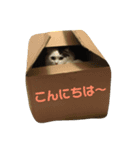 ルークたち2（個別スタンプ：2）