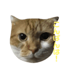 ルークたち2（個別スタンプ：3）