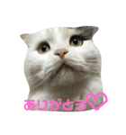 ルークたち2（個別スタンプ：6）