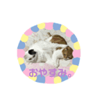 ルークたち2（個別スタンプ：8）