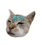 中さん家～疲れた編～（個別スタンプ：4）