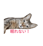 中さん家～疲れた編～（個別スタンプ：7）