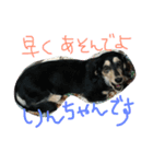 可愛い我が家のワンコたちです（個別スタンプ：3）
