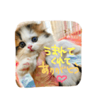 にものちゃん（個別スタンプ：2）