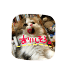 にものちゃん（個別スタンプ：4）