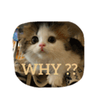 にものちゃん（個別スタンプ：15）