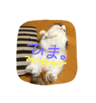 にものちゃん（個別スタンプ：20）