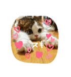 にものちゃん（個別スタンプ：26）