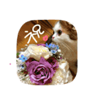 にものちゃん（個別スタンプ：35）