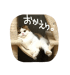 にものちゃん（個別スタンプ：36）