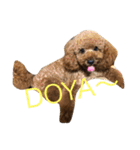 しん_（個別スタンプ：7）