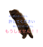 しん_（個別スタンプ：10）