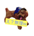 しん_（個別スタンプ：13）