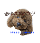 しん_（個別スタンプ：18）