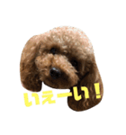 しん_（個別スタンプ：22）