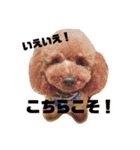 しん_（個別スタンプ：23）