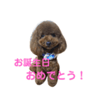 しん_（個別スタンプ：24）