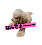 しん_（個別スタンプ：25）