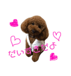 しん_（個別スタンプ：30）