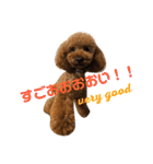 しん_（個別スタンプ：31）