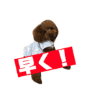 しん_（個別スタンプ：32）