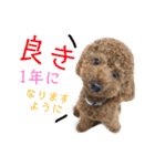 しん_（個別スタンプ：37）