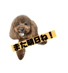 しん_（個別スタンプ：38）