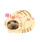 しん_（個別スタンプ：40）