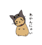 ねこかぶりハム（個別スタンプ：1）