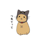 ねこかぶりハム（個別スタンプ：8）
