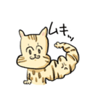ベンガルのぬこまるさん。（個別スタンプ：1）