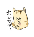 ベンガルのぬこまるさん。（個別スタンプ：4）