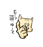 ベンガルのぬこまるさん。（個別スタンプ：10）