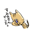 ベンガルのぬこまるさん。（個別スタンプ：13）