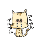 ベンガルのぬこまるさん。（個別スタンプ：15）