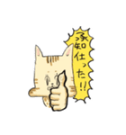 ベンガルのぬこまるさん。（個別スタンプ：22）