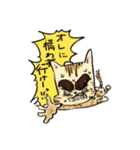 ベンガルのぬこまるさん。（個別スタンプ：30）