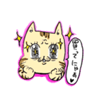 ベンガルのぬこまるさん。（個別スタンプ：40）
