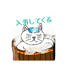 猫ひこさん（個別スタンプ：22）