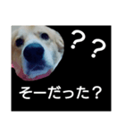 かいちゃん2（個別スタンプ：3）