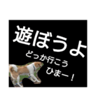 かいちゃん2（個別スタンプ：16）