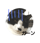 ねねとこにゃ（個別スタンプ：4）