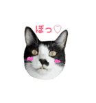 ねねとこにゃ（個別スタンプ：8）